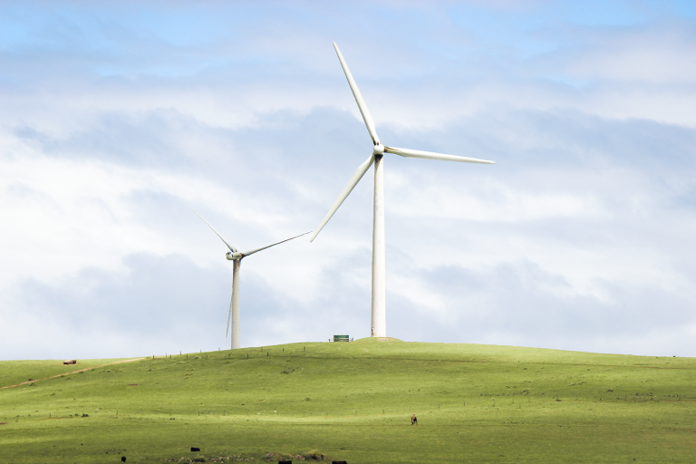 Moyne Enviro Strategy, Moyne - Wind Turbine
