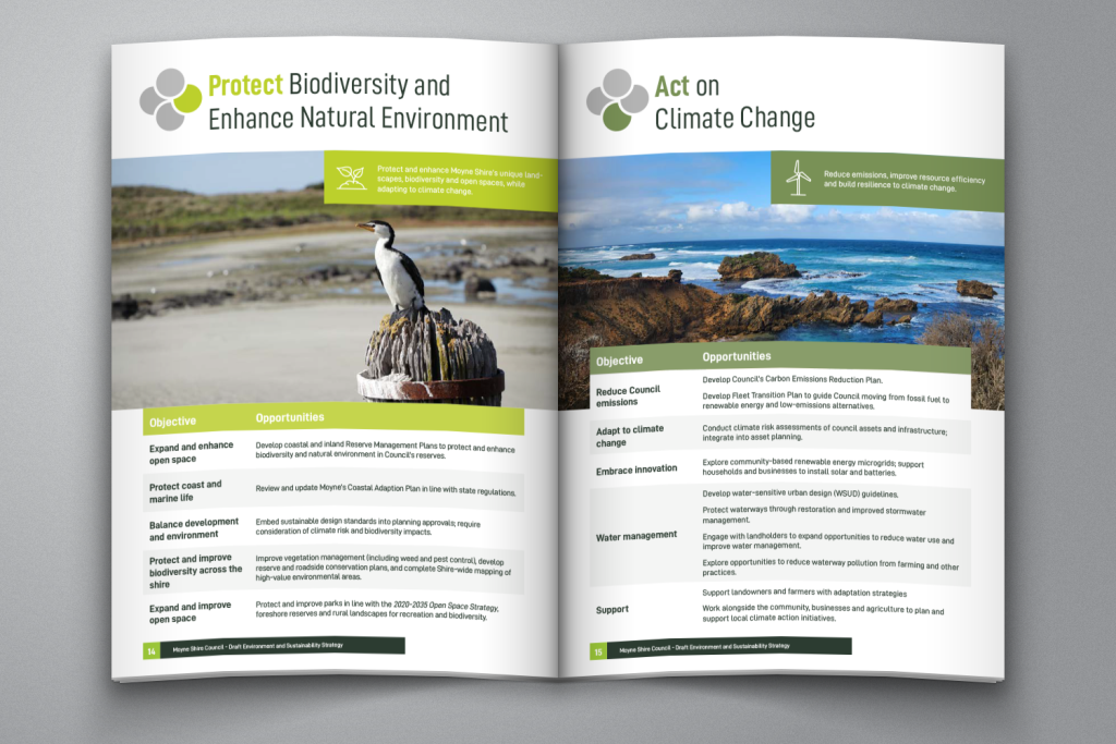 Environment & Sustainability Strategy, Moyne